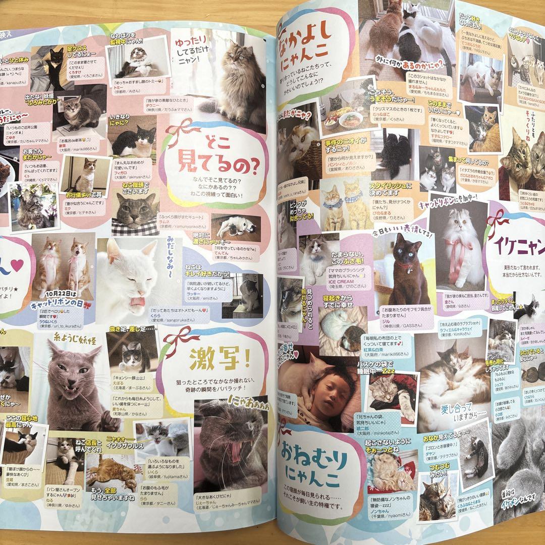 Latest Cat Goods Comprehensive Guide