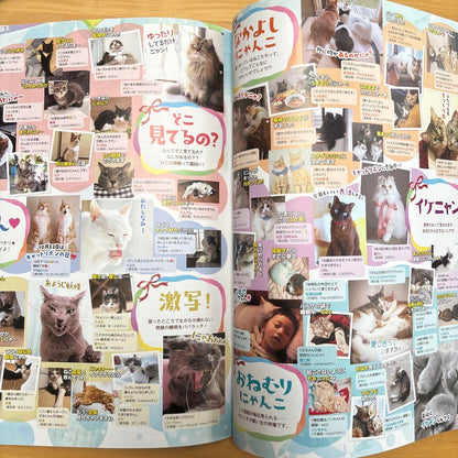 Latest Cat Goods Comprehensive Guide